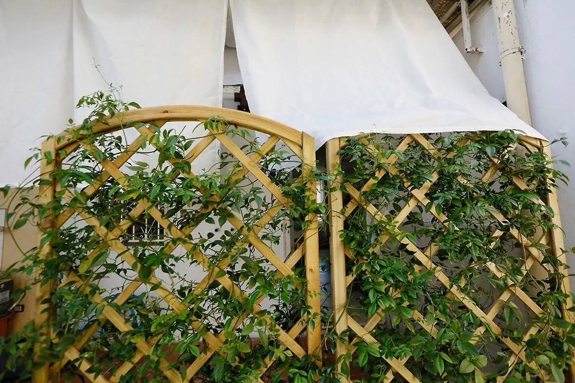 Guest house Il Posto Giusto Hotel Pisa